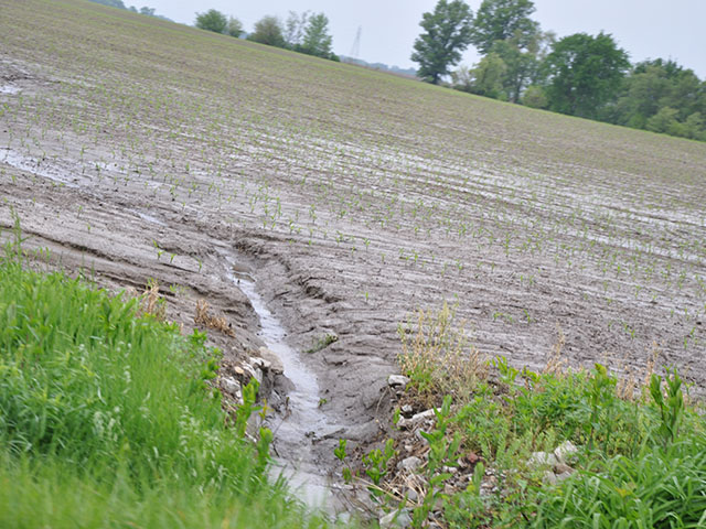 Erosion from a cornfield after a heavy spring rain. Groups such as the Soil Health Institute are trying to encourage commodity farmers to adopt practices that would reduce such erosion. (DTN file photo)